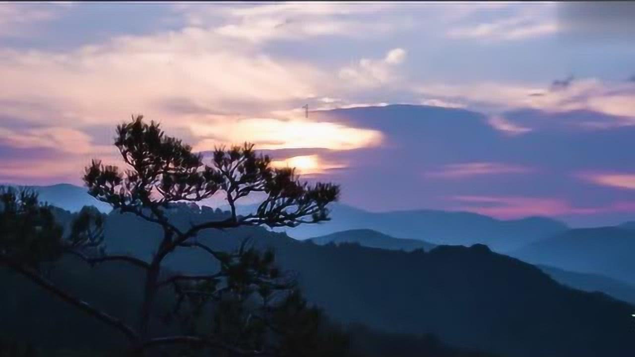 冷知识分享平台-为什么有的人在你和他玩的时候会觉得你在欺负他?,探索未知的知识宝藏